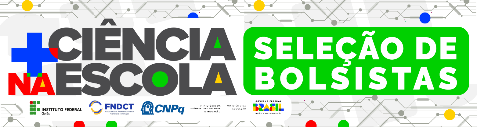 Bolsa Go Maker