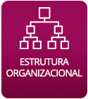 Estrutura Organizacional